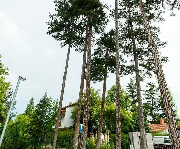 לינה וארוחת בוקר Bl Garden Panzio